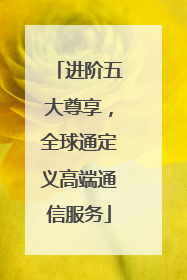 进阶五大尊享，全球通定义高端通信服务