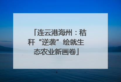 连云港海州：秸秆“逆袭”绘就生态农业新画卷