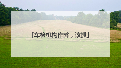车检机构作弊，该抓