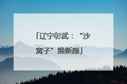 辽宁彰武：“沙窝子”焕新颜