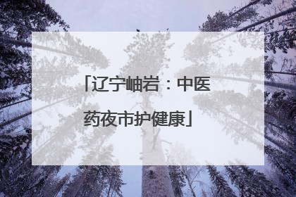辽宁岫岩：中医药夜市护健康