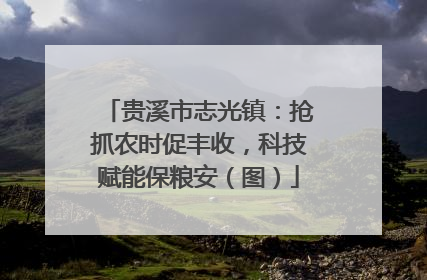 贵溪市志光镇：抢抓农时促丰收，科技赋能保粮安（图）