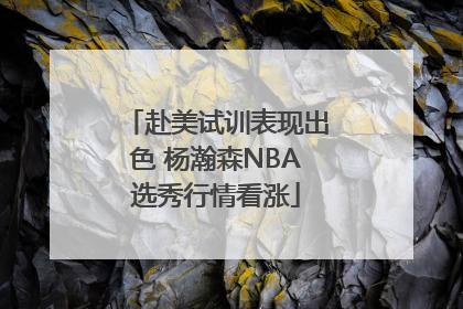 赴美试训表现出色 杨瀚森NBA选秀行情看涨