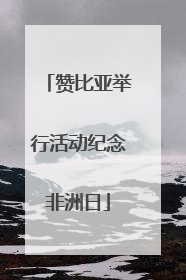 赞比亚举行活动纪念非洲日