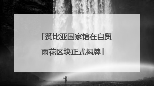 赞比亚国家馆在自贸雨花区块正式揭牌