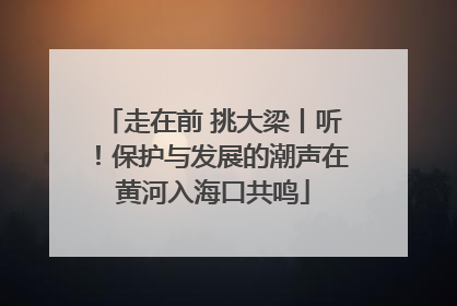 走在前 挑大梁丨听！保护与发展的潮声在黄河入海口共鸣