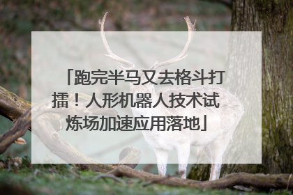 跑完半马又去格斗打擂！人形机器人技术试炼场加速应用落地