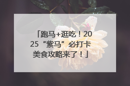 跑马+逛吃！2025“紫马”必打卡美食攻略来了！