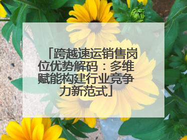 跨越速运销售岗位优势解码：多维赋能构建行业竞争力新范式