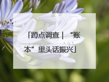 蹲点调查｜“账本”里头话振兴