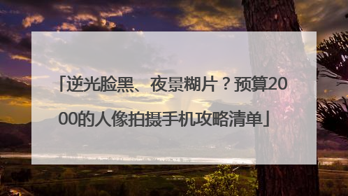 逆光脸黑、夜景糊片？预算2000的人像拍摄手机攻略清单