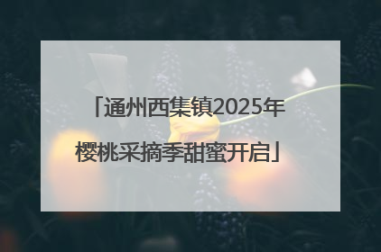 通州西集镇2025年樱桃采摘季甜蜜开启