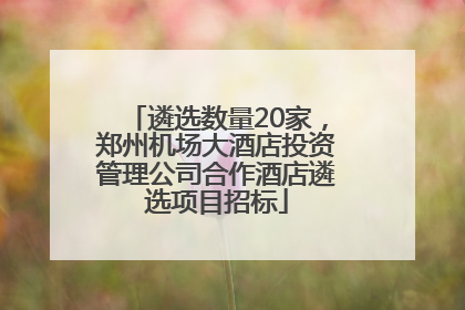 遴选数量20家，郑州机场大酒店投资管理公司合作酒店遴选项目招标