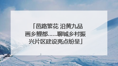 邑路繁花 沿黄九品 画乡鲤都……聊城乡村振兴片区建设亮点纷呈