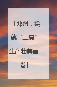 邓州：绘就“三夏”生产壮美画卷