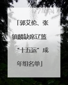 郭艾伦、张镇麟缺席辽篮“十五运”成年组名单