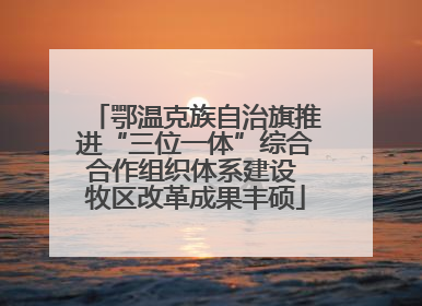 鄂温克族自治旗推进“三位一体”综合合作组织体系建设 牧区改革成果丰硕