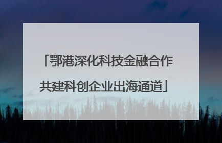 鄂港深化科技金融合作 共建科创企业出海通道