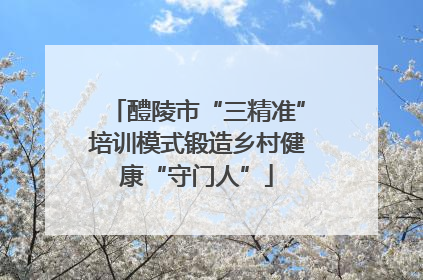 醴陵市“三精准”培训模式锻造乡村健康“守门人”