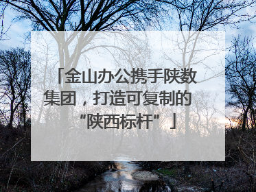 金山办公携手陕数集团，打造可复制的“陕西标杆”