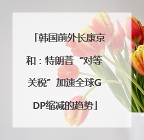 韩国前外长康京和：特朗普“对等关税”加速全球GDP缩减的趋势