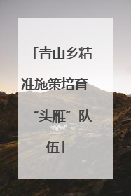 青山乡精准施策培育“头雁”队伍