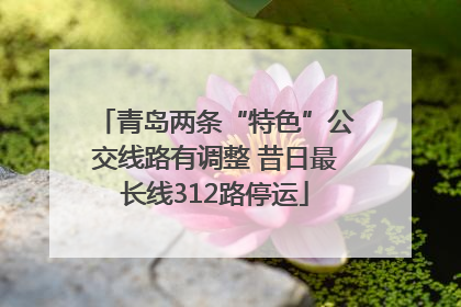 青岛两条“特色”公交线路有调整 昔日最长线312路停运
