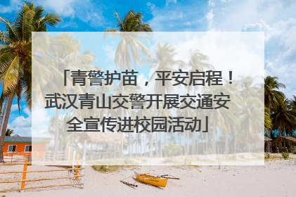 青警护苗，平安启程！武汉青山交警开展交通安全宣传进校园活动