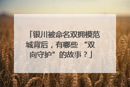 银川被命名双拥模范城背后，有哪些 “双向守护”的故事？