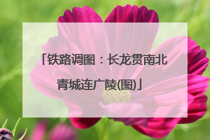 铁路调图：长龙贯南北 青城连广陵(图)
