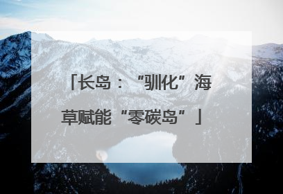 长岛：“驯化”海草赋能“零碳岛”