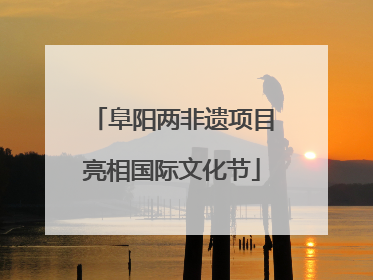 阜阳两非遗项目亮相国际文化节