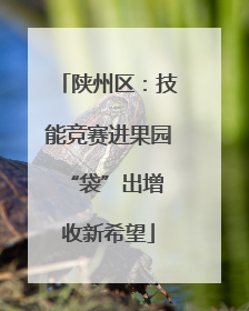 陕州区：技能竞赛进果园 “袋”出增收新希望