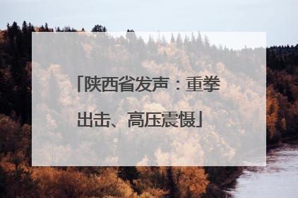 陕西省发声：重拳出击、高压震慑