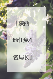 陕西一地任免4名局长