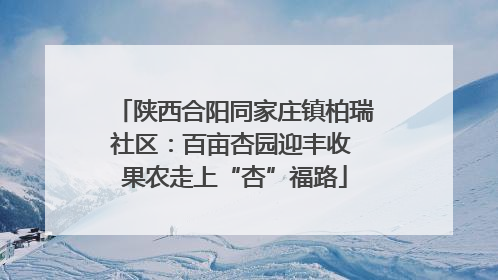 陕西合阳同家庄镇柏瑞社区：百亩杏园迎丰收 果农走上“杏”福路