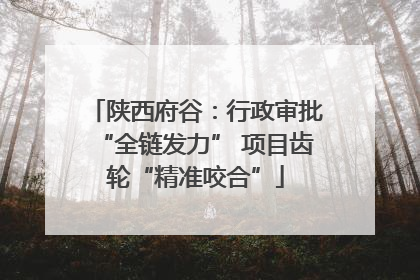 陕西府谷：行政审批“全链发力” 项目齿轮“精准咬合”