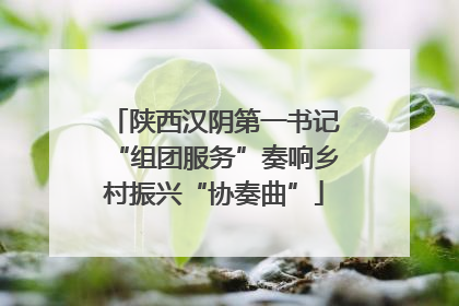 陕西汉阴第一书记“组团服务”奏响乡村振兴“协奏曲”