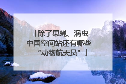 除了果蝇、涡虫 中国空间站还有哪些“动物航天员”