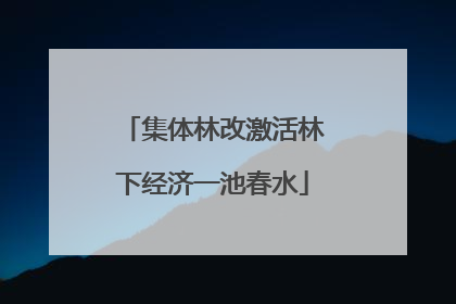 集体林改激活林下经济一池春水