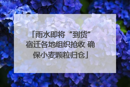 雨水即将“到货” 宿迁各地组织抢收 确保小麦颗粒归仓