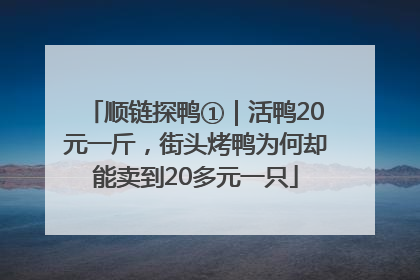 顺链探鸭①｜活鸭20元一斤，街头烤鸭为何却能卖到20多元一只