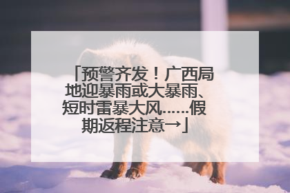 预警齐发！广西局地迎暴雨或大暴雨、短时雷暴大风……假期返程注意→
