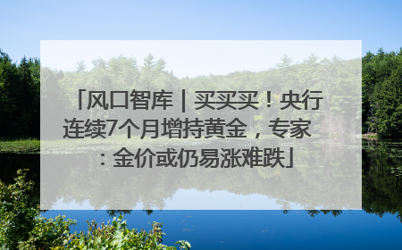 风口智库｜买买买！央行连续7个月增持黄金，专家：金价或仍易涨难跌