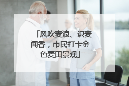 风吹麦浪、识麦闻香，市民打卡金色麦田景观