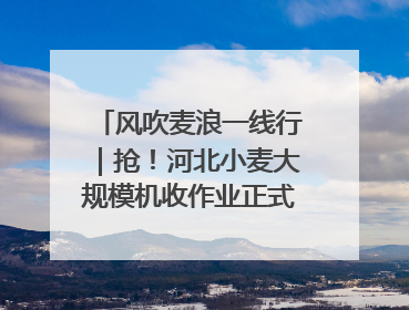 风吹麦浪一线行｜抢！河北小麦大规模机收作业正式拉开帷幕