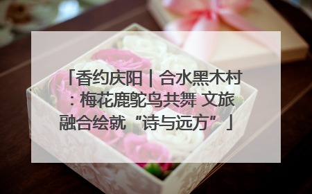 香约庆阳｜合水黑木村：梅花鹿鸵鸟共舞 文旅融合绘就“诗与远方”