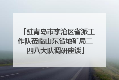 驻青岛市李沧区省派工作队莅临山东省地矿局二四八大队调研座谈