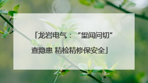 龙岩电气：“望闻问切”查隐患 精检精修保安全