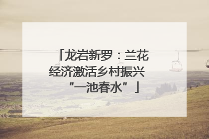 龙岩新罗：兰花经济激活乡村振兴“一池春水”